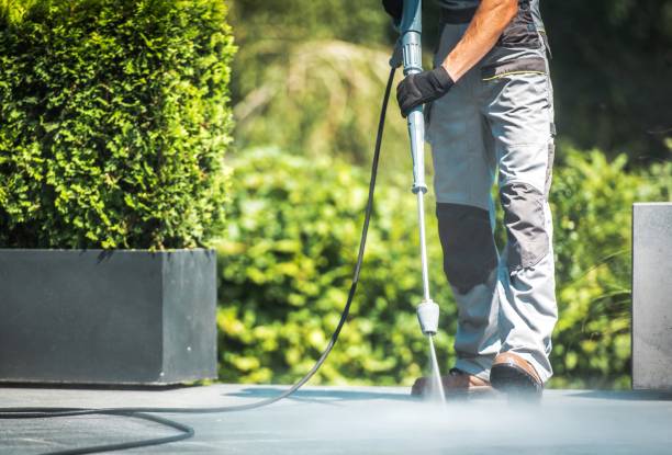 Animal Enclosure Cleaning in Peebles, OH
